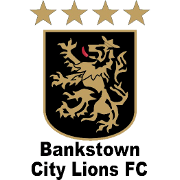 希爾斯聯FC