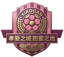 宜昌隊